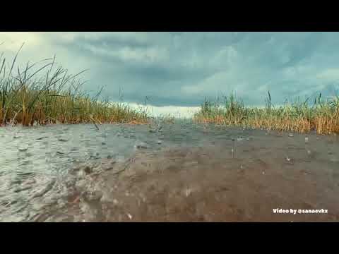 Видео: Қызылқұм!