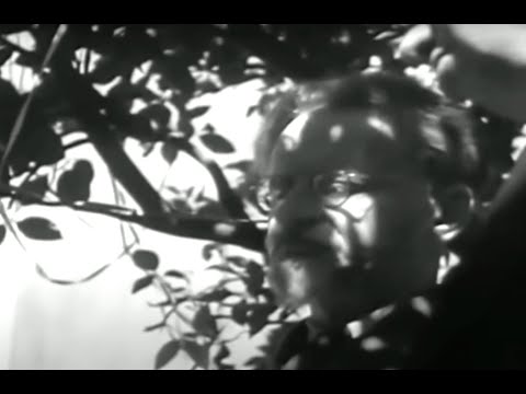 Видео: Троцкий Л.Д., сохранившиеся подлинные фрагменты киносъемок и фотографии 1917-1940 г.