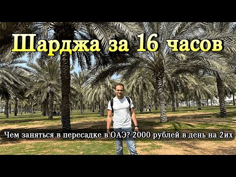 Видео: Чем заняться в пересадке в Эмиратах? Обзор Шарджа за 16 часов