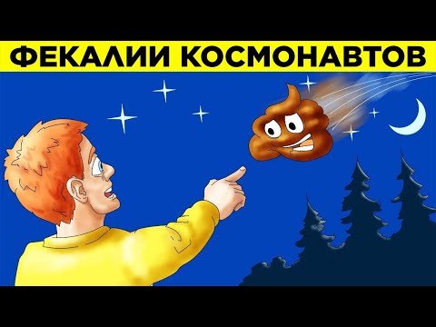 Видео: Некоторые Падающие Звезды – Какашки Космонавтов. Парад Фактов 9