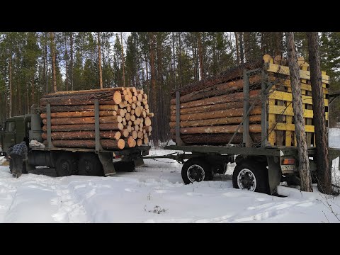 Видео: Мои рабочие будни) камаз не поднялся в подъем, потащило назад! Вывозка леса)