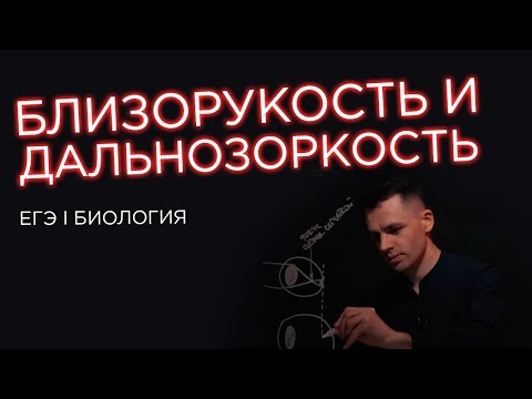 Видео: Близорукость и Дальнозоркость | ЕГЭ Биология | Даниил Дарвин