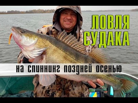 Видео: Ловля трофейного судака на спиннинг поздней осенью