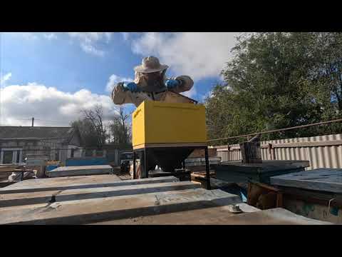 Видео: Термообработка  пчёл в Термокамере Кавчег    2025 год