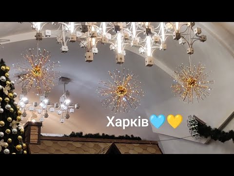 Видео: 20.11.2024 ПОГОДА ХАРКіВ //  КіМНАТНі КВіТИ ЗМЕРЗЛИ // НОВИНИ В КВіТНИКАХ