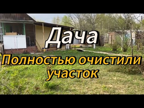 Видео: Дача | Ура! Очистили участок полностью | Первые шаги #9