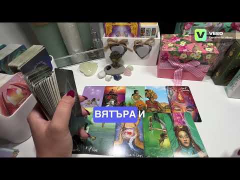 Видео: Какво иска да ви каже точно сега? 