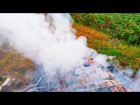 Видео: ЖАУ БАУР - Балкарский шашлык из печени. Кавказская кухня. ENG SUB