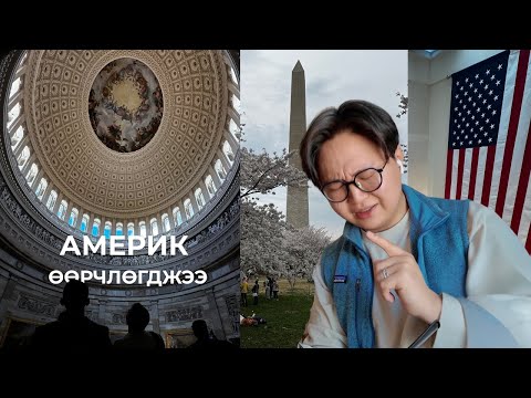 Видео: Буцаад Америкт амьдрах ямар байна | tsbd vlog #1
