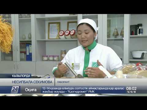 Видео: Рисоперерабатывающий завод за полмиллиарда запустили в Кызылорде