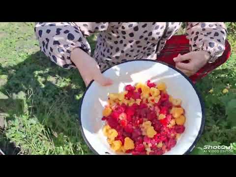 Видео: Живём на Кубани. 