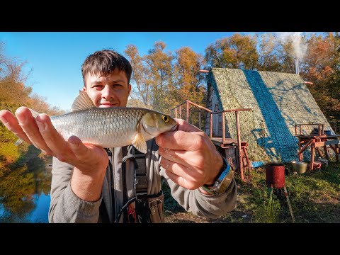 Видео: ЧТО СКРЫВАЛА ЯМА ПОД РЕЧНЫМ ЗАВАЛОМ ? | Осень в бане у реки