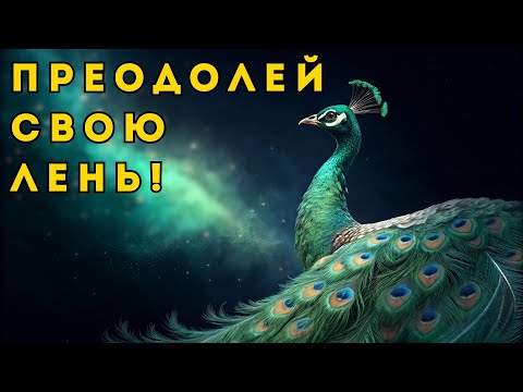 Видео: Преодоление ЛЕНИ: Почему твоя ДУША сопротивляется собственному развитию.