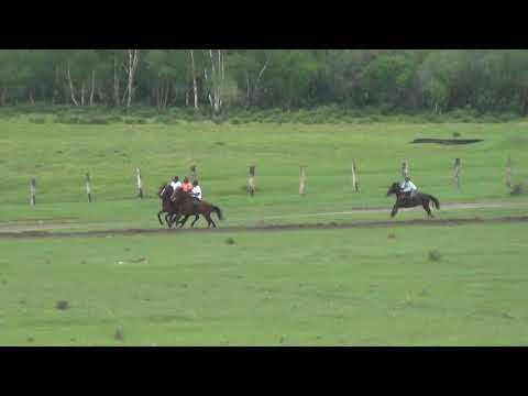 Видео: Открытие скакового сезона 2021 с.Ело 1600м ПК