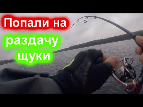 Видео: Ловля на воблеры осенью. Щука с каждого заброса.