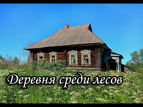 Видео: НЕДАВНО ПОКИНУТАЯ ДЕРЕВНЯ Ярославской области. Часть 1