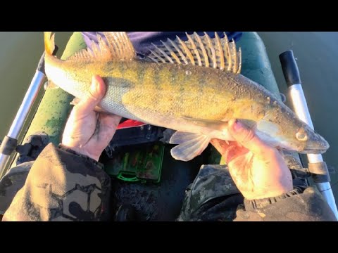 Видео: Закрытие сезона жидкой воды.Ловим судаков и щук прямо у Казахстана!!!