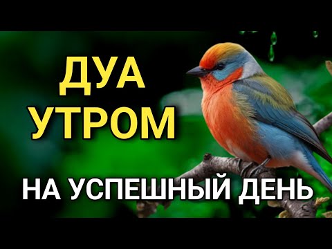 Видео: ☝️ ДУА УТРОМ САМЫЙ МОЩНЫЙ СТАРТ ДНЯ! 🤲💯🔑