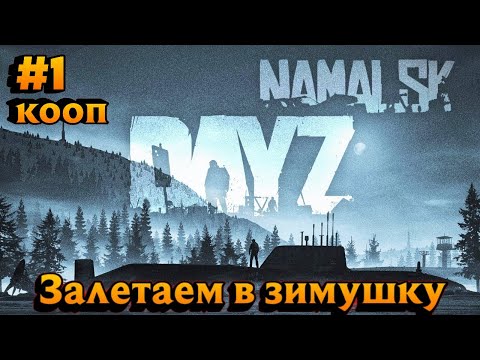 Видео: DAYZ   Приключение  в  Намальске  ( №1)
