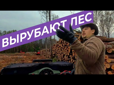Видео: ВОТ ТАКАЯ РЫБАЛКА | РУБЯТ ЛЕС | ЛОШАДИ ВСЕ СЪЕЛИ