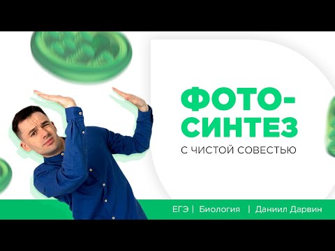 Видео: Фотосинтез с чистой совестью | ЕГЭ 2020