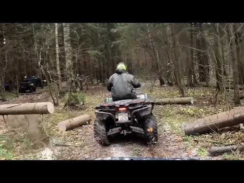 Видео: Квадроциклы CFMOTO И BRP уничтожают грязь и болота. ЧАСТЬ 2. ПРИВЕТ ИЗ ОСЕНИ 2023.