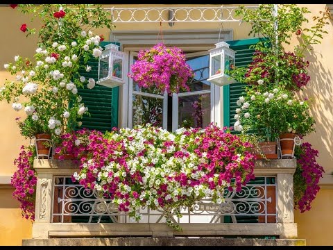 Видео: ТОП-30 НЕПРИХОТЛИВЫХ РАСТЕНИЙ ДЛЯ БАЛКОНА #BALKON_FLOWERS #ЦВЕТУЩИЕ #БЕГОНИЯ #oldenburgru#140