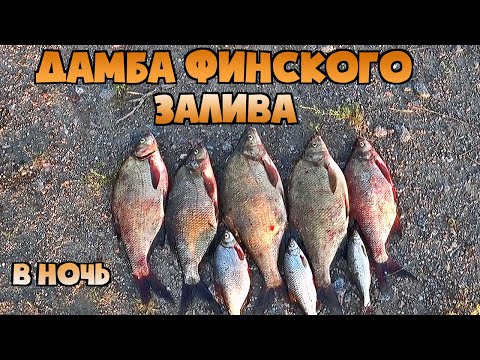 Видео: РЫБАЛКА НА ДАМБЕ ФИНСКОГО ЗАЛИВА В НОЧЬ. НАЛОВИЛ ЛЕЩЕЙ И ДОВОЛЬНЫЙ ПОЕХАЛ НА РАБОТУ ЯДЕРНЫЕ ПОКЛЁВКИ