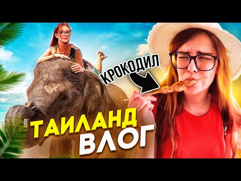 Видео: ПОПРОБОВАЛА КРОКОДИЛА, ПОКАТАЛАСЬ НА СЛОНЕ  🏝️ВЛОГ ИЗ ТАИЛАНДА (ПАТТАЙЯ)