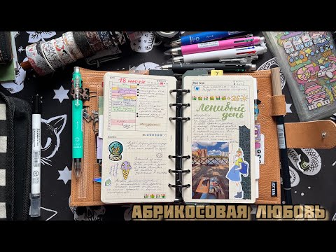 Видео: Абрикосовая любовь 😻 