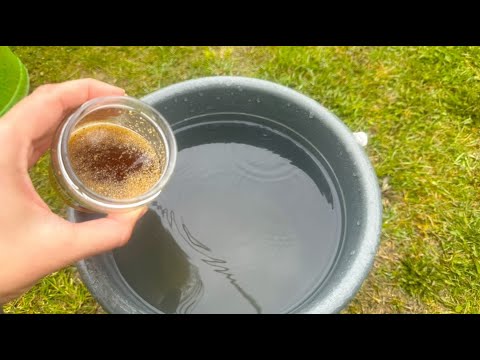 Видео: Сорняки исчезнут за 1 минуту навсегда! Простой и безопасный способ, результат ДО и ПОСЛЕ