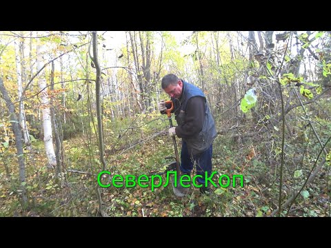 Видео: ОСЕННИЙ ВЫЕЗД НА МЕТАЛЛОКОП