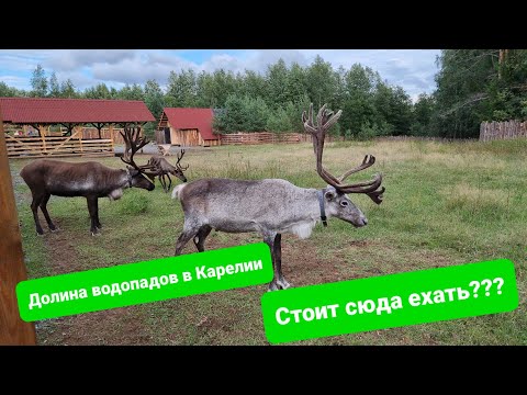 Видео: Долина водопадов, стоит ли туда ехать? Дороги Карельского перешейка, жилье в городе Хелюля