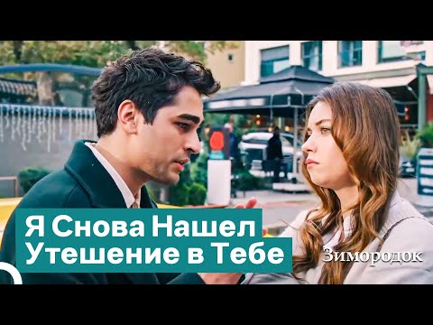 Видео: Любовь Среди Хаоса | Зимородок