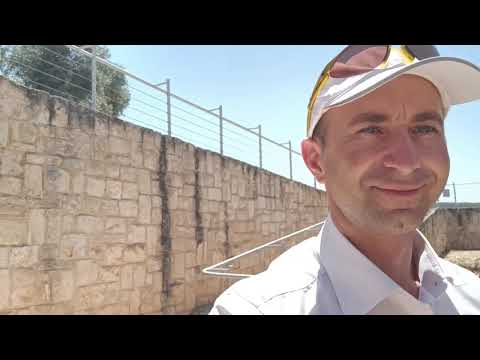 Видео: Ципорий. Исторические места Израиля. Археологический комплекс. Мозайка.