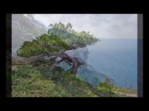 Видео: Портфель экскурсовода