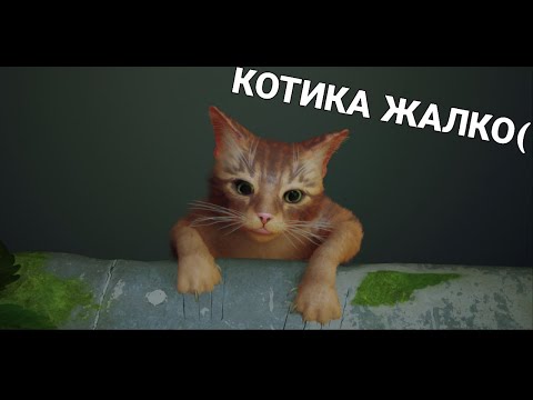 Видео: Полетели вниз!!! ▶ Stray  №1