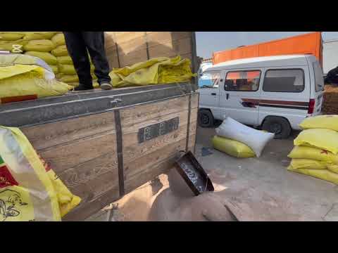 Видео: 02.11.2025.ХОРАЗМ УРГАНЧ ЕМ БОЗОРИ… НАРХЛАРИ ЎЗГАРДИ