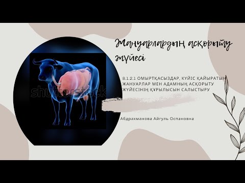 Видео: Жануарлардың асқорыту жүйесі. 8-сынып. 4-Бөлім. Қоректену