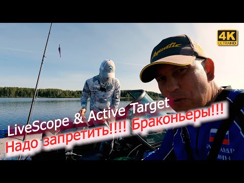 Видео: Набил мешок судаков с Active Target. Это надо срочно запретить!
