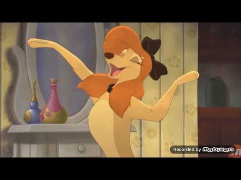 Видео: Дикси клип 2🎀