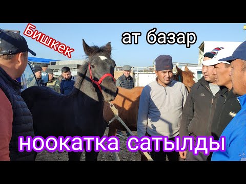 Видео: 11-ОКТЯБРЬ КУЛУН НООКАТКА ТАЛАШТАН САТЫЛДЫ БИШКЕК ЖЫЛКЫ БАЗАР 
