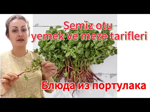 Видео: Semizotu ile Yapabileceğiniz 3 Nefis Tarif | Sağlıklı ve Lezzetli!🍃Блюда из портулака