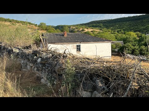 Видео: Улакълы кою – Эдае Муратованен кезинти