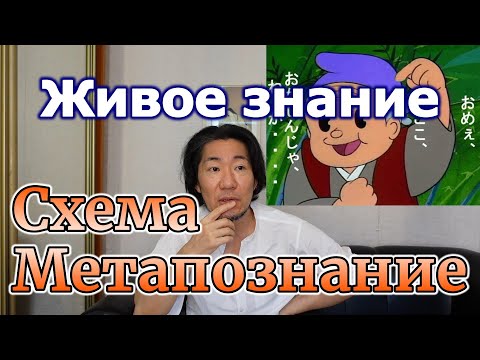 Видео: [ру.суб] Приобретение живого знания. Ошибочные схемы и метапознание | Японский язык Санкт-Петербург