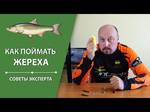 Видео: Как поймать жереха? | Советы эксперта