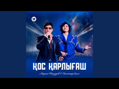 Видео: Қос қарлығаш