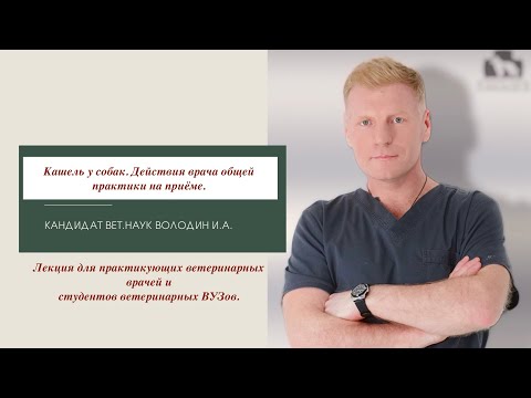 Видео: Кашель у собаки. Действия врача общей практики на приёме. Часть первая.