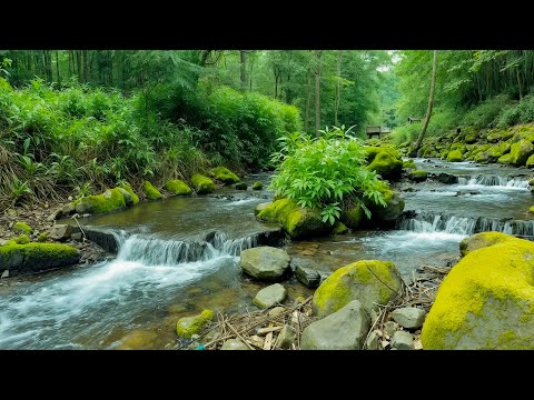 Видео: Успокаивающая музыка для исцеления сердца. Звуки природы для снятия стресса и глубокого сна.