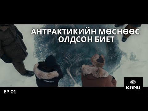 Видео: МӨСӨН ДООРООС ХАРИЙН БИЕТ ОЛООД ГАРГААД ИРТЭЛ ..